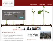 Tablet Screenshot of echelonllc.com